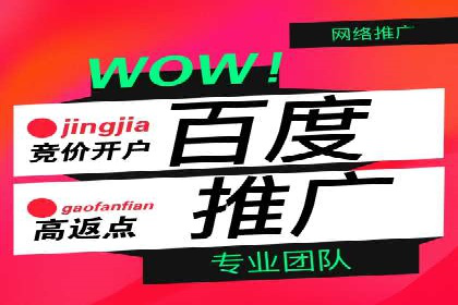 百度推广代运营公司：打造高效的网络营销团队